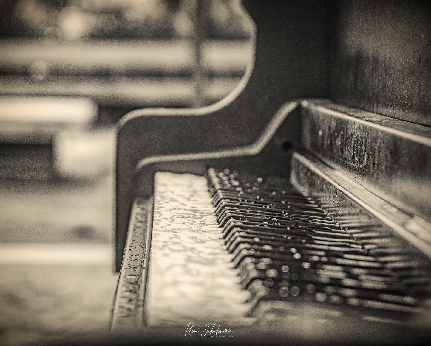 La Elegancia del Piano, disponible en tamaño 50 x 70 cm.