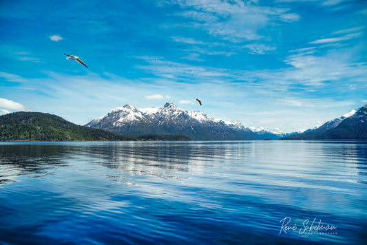 Patagonia Argentina, available in a 50 x 70 cm size.